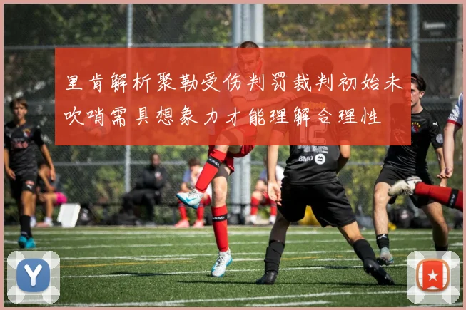 里肯解析聚勒受伤判罚裁判初始未吹哨需具想象力才能理解合理性
