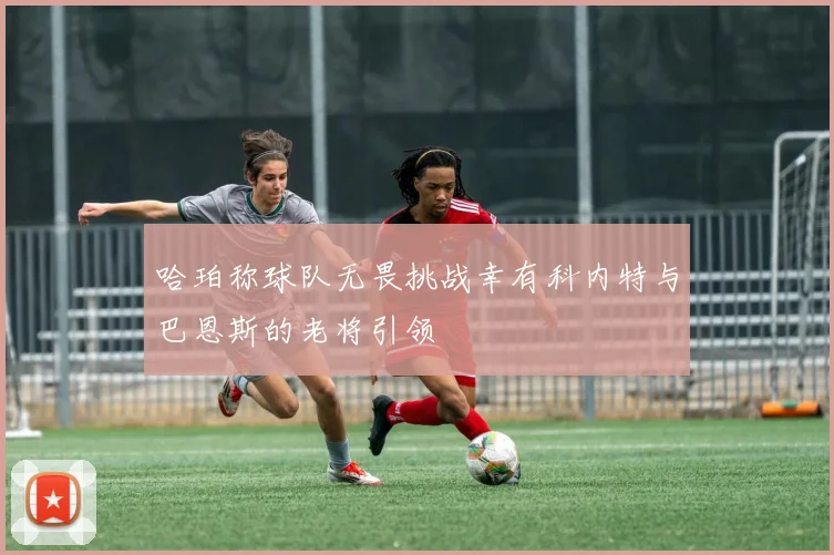 哈珀称球队无畏挑战幸有科内特与巴恩斯的老将引领